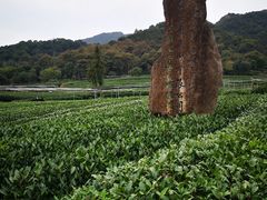 -听风阁农家私房菜茶楼(龙坞店)