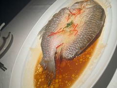 -凤凰湘语(浦东旗舰店)