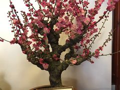-听鹂馆饭庄(颐和园店)