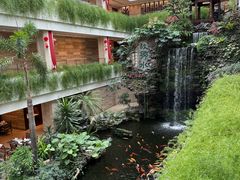-白天鹅宾馆-宏图府餐厅