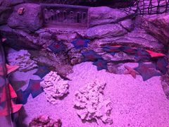 -沈阳海洋探索中心