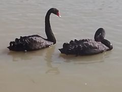 -艾溪湖湿地公园