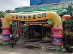 -上海大自然野生昆虫馆(东方明珠·爬宠昆虫探索中心)