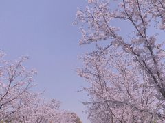 -长田漾湿地公园