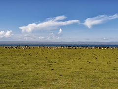 -青海湖国家重点风景名胜区