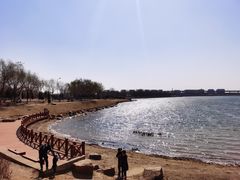 -丁香湖公园