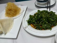 -丁老爷子苏香圆