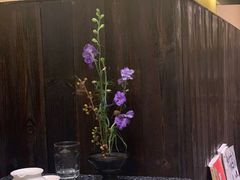 -灶咖KITCHEN