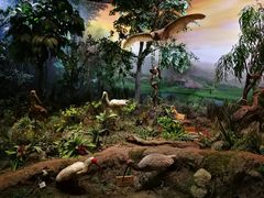 -陕西自然博物馆