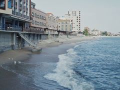 -胜海大排档·海鲜·黄鳝饭(十年老店)