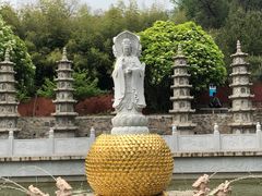 -泰山风景名胜区-普照寺