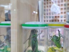 -三旗百汇商品城