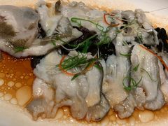 清蒸多宝鱼-大树餐厅(益田假日店)