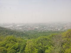-紫金山天文台