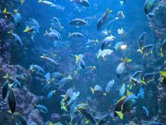 -海合安青岛极地海洋公园