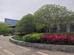 -风云岭森林公园