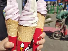 -蜜雪冰城(托乐嘉店)
