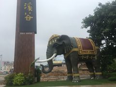 -碧桂园润杨溪谷温泉酒店