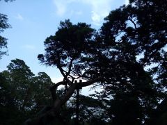 android_upload_pic-崂山仰口游览区