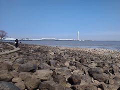 -上海吴淞炮台湾国家湿地公园