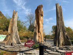 -金钉子远古世界景区