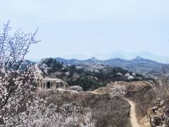 -蟠龙山长城景区