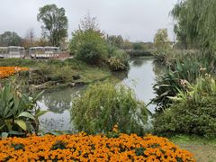 -良渚古城遗址公园