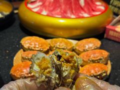 -牛New寿喜烧(金茂览秀城店)