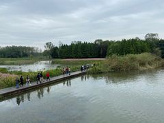 -溱湖国家湿地公园