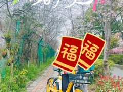 -新江湾城公园
