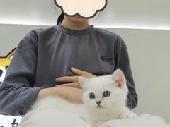 -唐小姐の猫狗洗护·购宠旗舰店(周浦万达店)