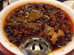 -金鼎轩(鸟巢北辰荟店)