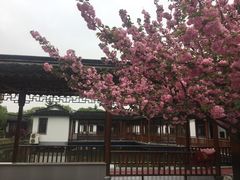 -渭塘酒家(生态园店)