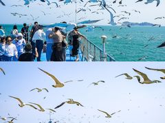 -海驴岛(荣成市)