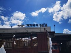 -海吉星市场