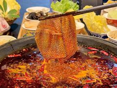 -俏媳妇火锅(宽窄巷子店)