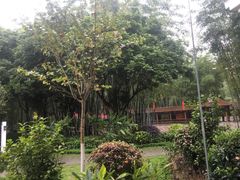 -林丰温泉度假山庄