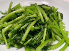 清炒茼蒿-久宴·天目湖大鱼头(恐龙园店)