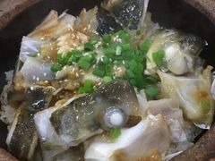 -红星光发煲仔饭(大石街店)