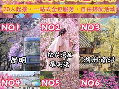 -上海山野camping·户外天幕烧烤·团建拓展营地