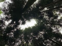 -龙窝子