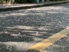 -水濂山森林公园