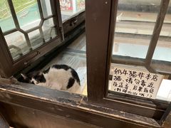 -猫的天空之城概念书店(杭州南宋御街店)