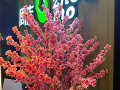 -周沫西餐(漫广场店)