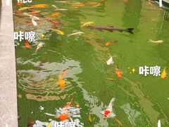-叙福楼海鲜酒家(季华西路店)