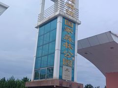 -日照海滨国家森林公园