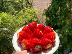 -百果园PAGODA(法华镇路店)