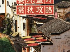 -篁岭景区