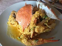 -Red Lobster