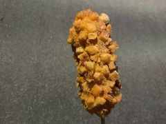 -青春米热狗